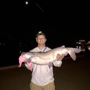 Meet your Posher, Nick